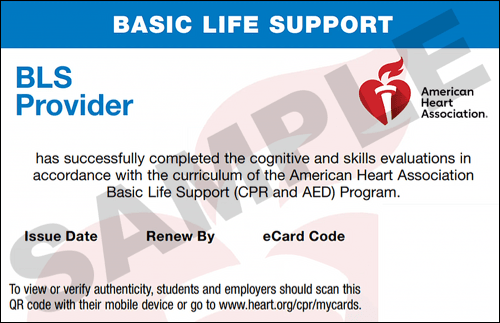 Sample American Heart Association AHA BLS CPR Card Certification from CPR Certification Washington DC