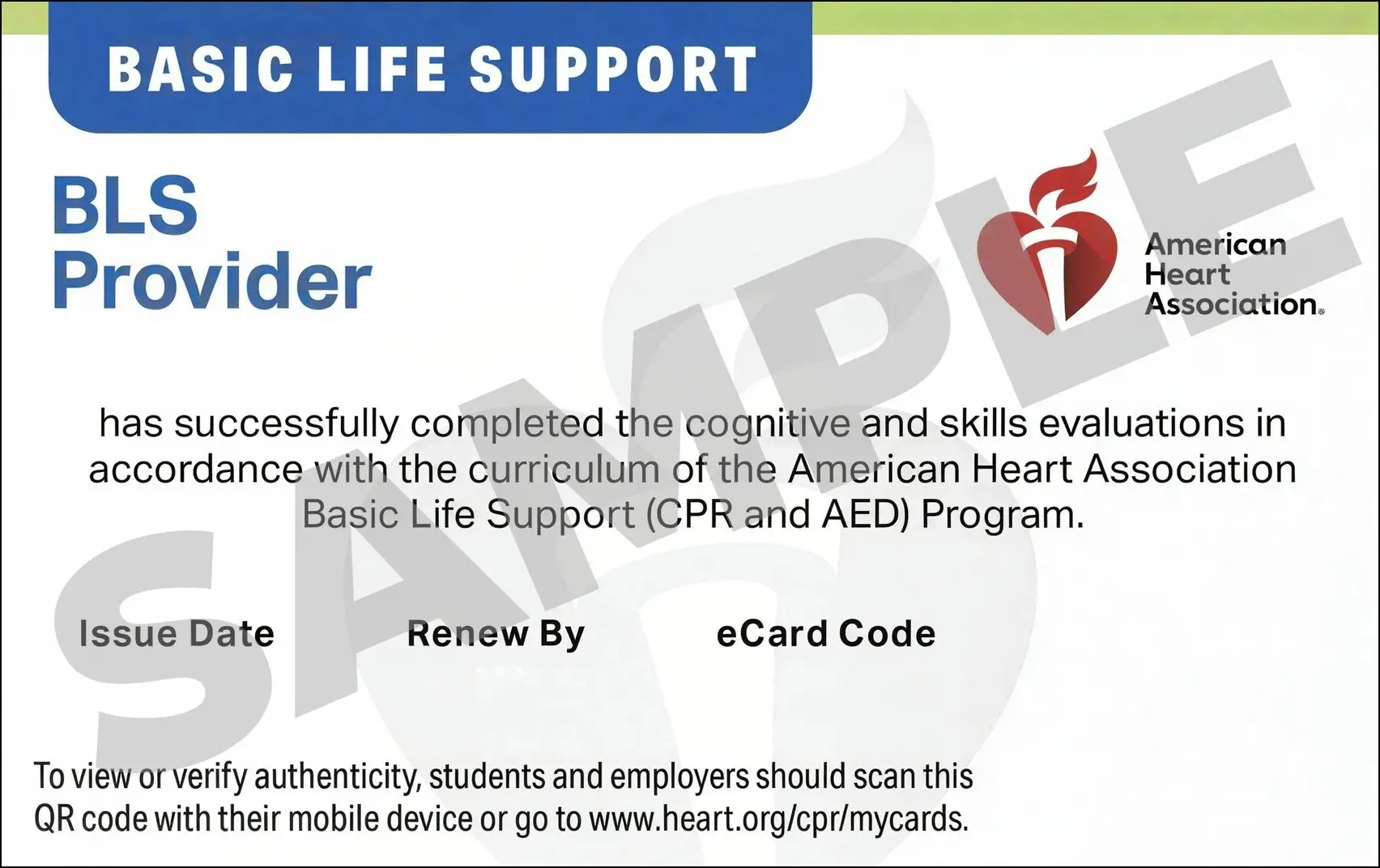 Sample American Heart Association AHA BLS CPR Card Certification from CPR Certification Washington DC